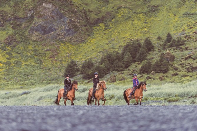 Black Sand Beach Horse Riding Tour from Vik - Weather reality in Vík: what happens when the beach is too windy