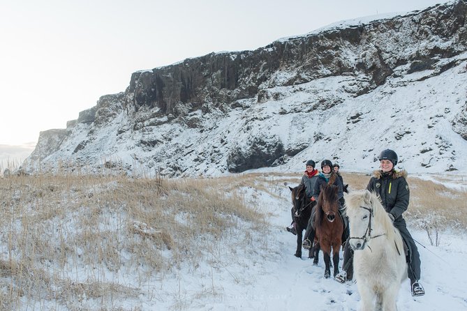 Black Sand Beach Horse Riding Tour from Vik - Price value: what $133 buys you in a small-group horse tour