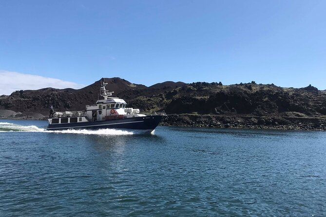 Boat Tour in Vestmannaeyjar - Timing, Meeting Point, and Getting There Calmly