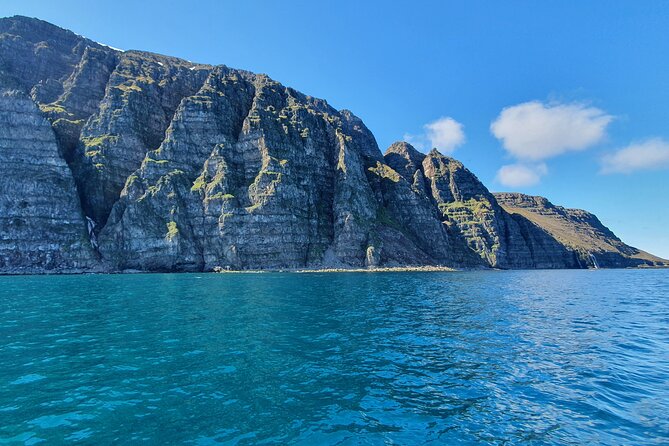 Boat Tours from Siglufjörður - Key highlights to know before you go