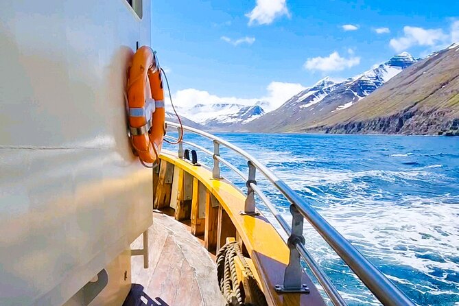Boat Tours from Siglufjörður - Entering The Fjord World From Siglufjörður, On the Örkin