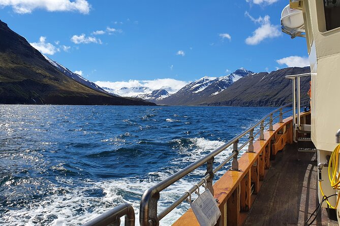 Boat Tours from Siglufjörður - Fishing Time, Cod Chances, and the Food Reality Check