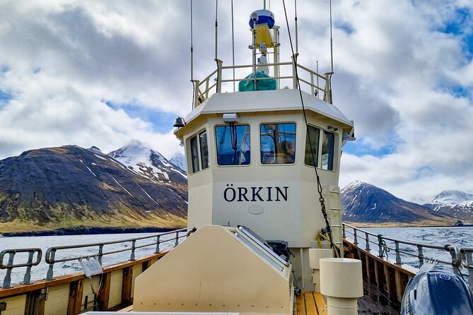 Boat Tours from Siglufjörður - Price and Value at About $102 Per Person