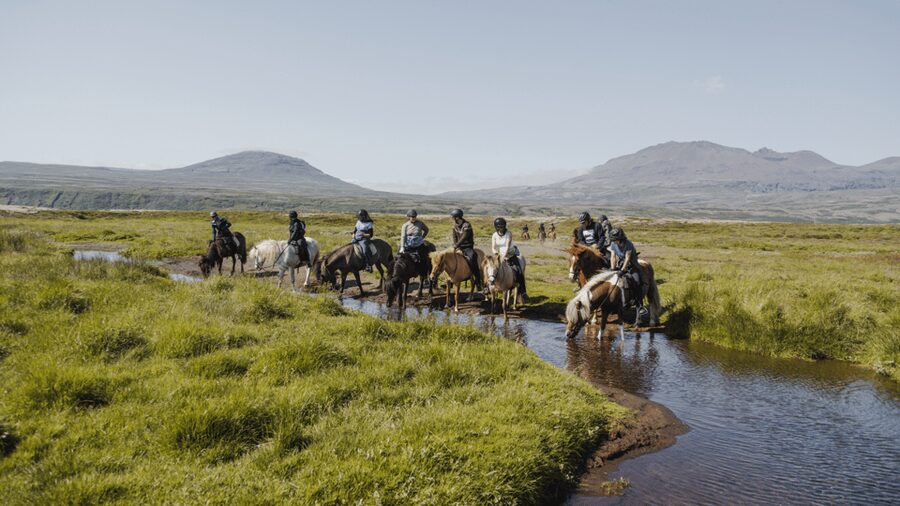 Borgarnes: Horseback Riding Tour with Prep Lesson - Key highlights worth your attention