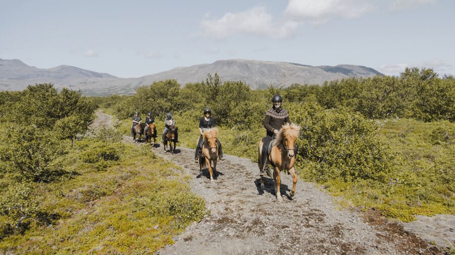Borgarnes: Horseback Riding Tour with Prep Lesson - Inside the Indoor Arena: What You Learn Before You Ride