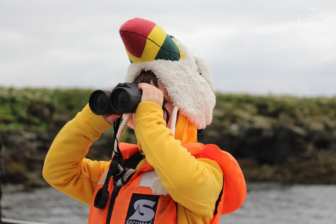 Classic Puffin Watching Cruise from Downtown Reykjavík - Accessibility and Who Will Find This Easy