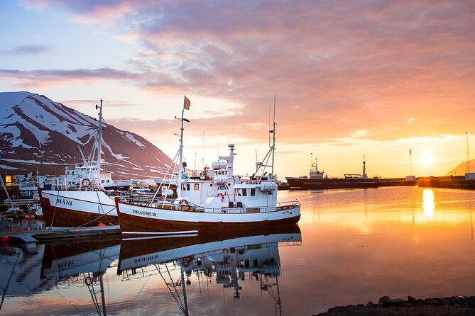 Classic Whale Watching from Dalvík Near Akureyri - The boat time you’re actually buying, about 3 hours