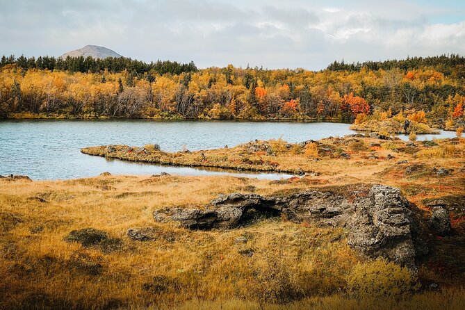 Cruise Tour Godafoss and Myvatn Lake and Baths Small Group - What makes this Akureyri cruise excursion a standout