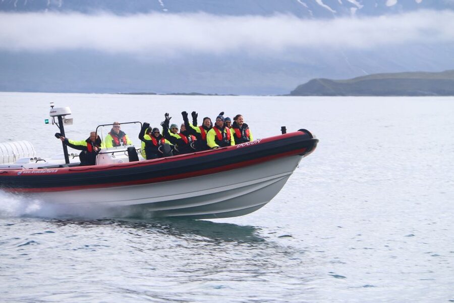 Dalvík: Whale Watching Speedboat Tour - Key things I’d circle before booking