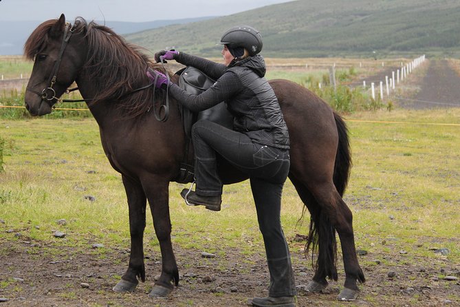 Deacon Horse Riding Tour - Key things I’d focus on before you book