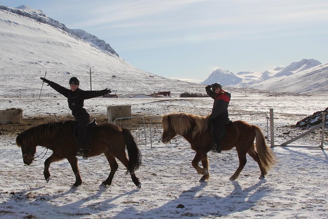 Deacon Horse Riding Tour - Akureyri horseback riding, but with time where buses can’t go