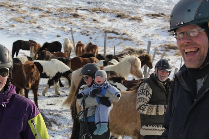 Deacon Horse Riding Tour - The setup: matching you to the right horse (and the right comfort level)