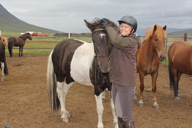 Deacon Horse Riding Tour - The ride itself: trails, river crossings, and multiple tölt moments
