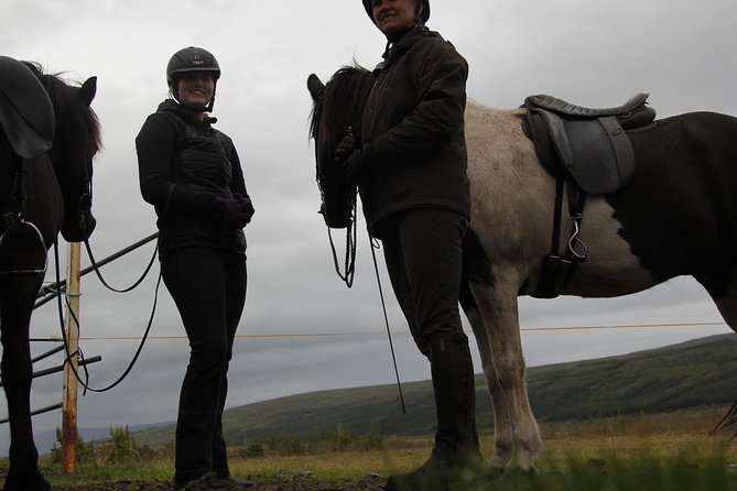 Deacon Horse Riding Tour - Who should book this Deacon Horse Riding Tour from Akureyri