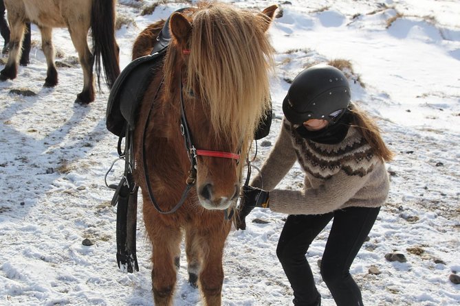 Deacon Horse Riding Tour - Where you meet: Ytri Bægisá, then back again