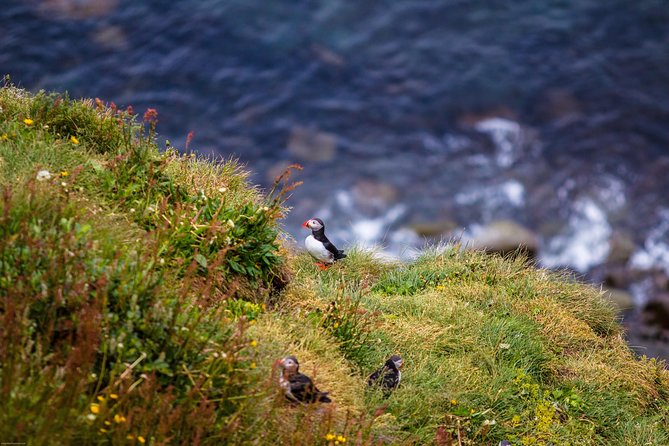 Diamond Circle Day Tour from Akureyri - GeoSea in Husavik: the warm-water optional finish