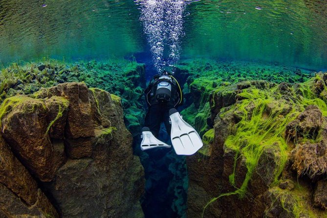 Dive the Divide: Silfra Fissure Scuba Tour | Reykjavik Pickup - Reykjavik pickup to Thingvellir: timing and how the day actually moves