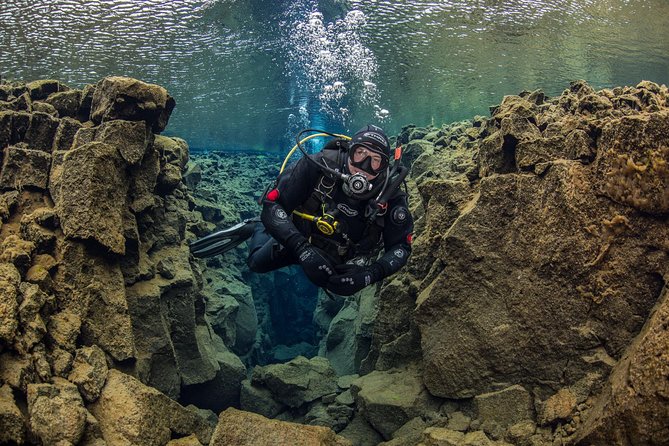 Dive the Divide: Silfra Fissure Scuba Tour | Reykjavik Pickup - The water reality: cold, clear, and built for photos