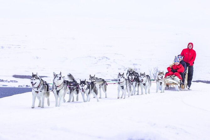 Dog Sledding Tour near Akureyri - Stop Where It Matters: Akureyri Countryside, Close to Ocean and Fjord