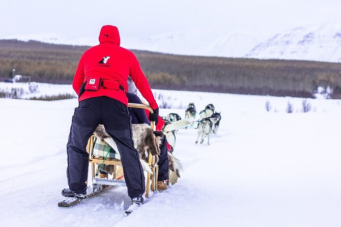 Dog Sledding Tour near Akureyri - A Quick Reality Check: Considerations Before You Book