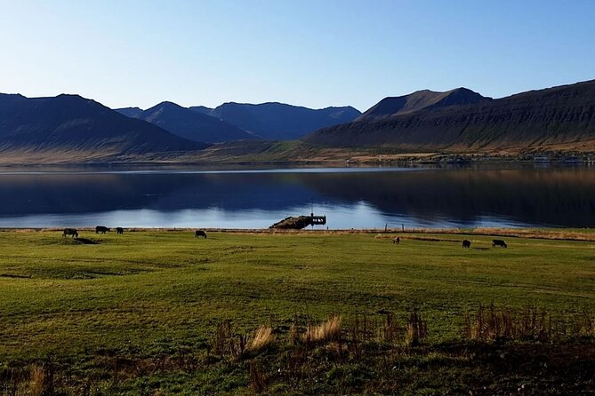 Dynjandi Waterfall & Iceland Farm Visit Tour - Price and Value: Is $149 a Good Deal Here?