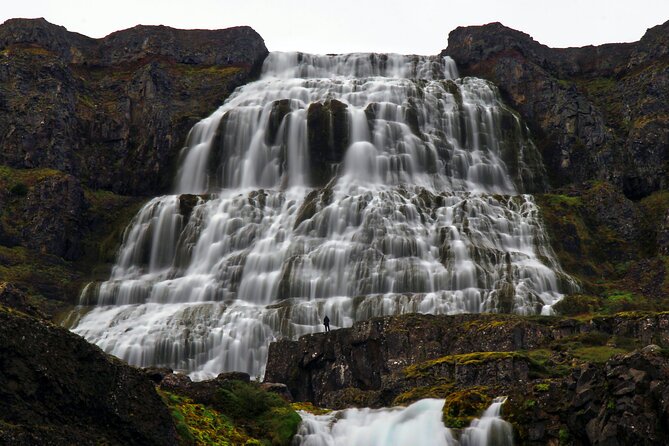 Dynjandi Waterfall & Iceland Farm Visit Tour - Should You Book the Dynjandi Waterfall and Iceland Farm Visit Tour?