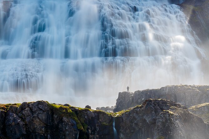 Dynjandi Waterfall & Iceland Farm Visit Tour - Thingeyri and Gemlufell Farm: Coffee, Animals, and Icelandic Cake