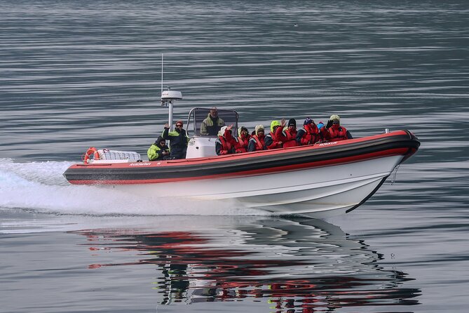 Express Whale Watching in Dalvik - Dalvik Whale Watching in a Speedy RIB, and Why Eyjafjörður Matters