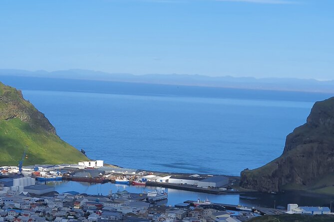 Eyjascooter Puffin Tour in Iceland - Price and value: what $156.19 per person buys you