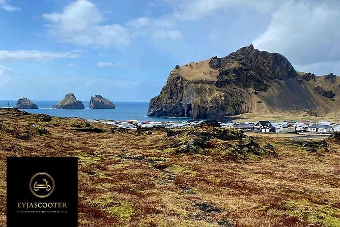 Eyjascooter volcano tour in Westman Island - Westman Islands stop: wildlife spotting with real photo access