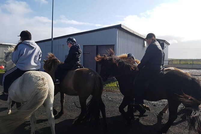 Family Horse Riding Tour in Thorlakshofn - Riding out of Þorlákshöfn, into lava fields and distant steam