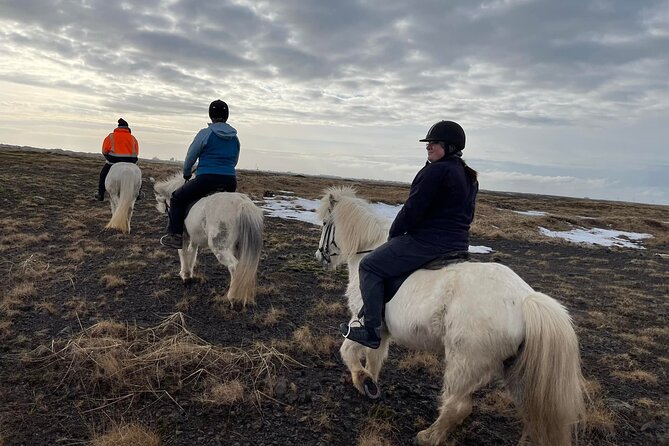 Family Horse Riding Tour in Thorlakshofn - Pickup, English guides, and the communication reality