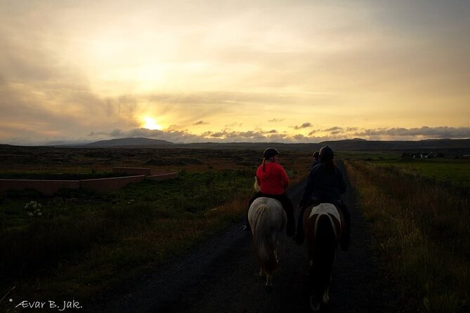 Family Horse Riding Tour in Thorlakshofn - The Krýsuvík and coastal views payoff, and what can limit it