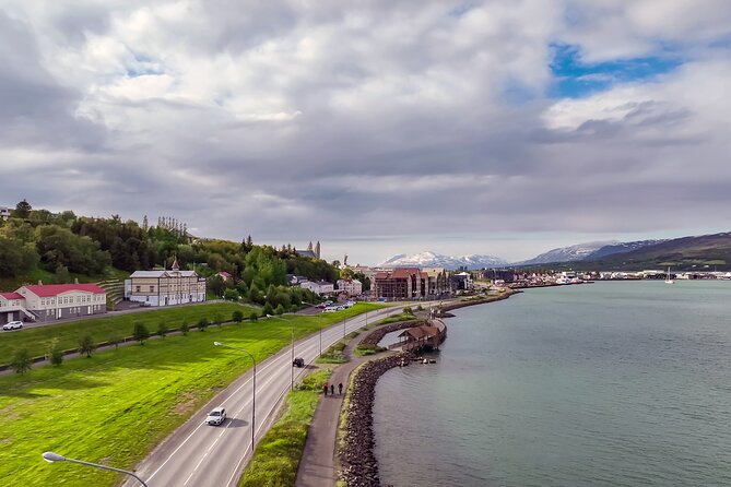 Forest Lagoon Ebike Tour Akureyri - Why Akureyri by e-bike and geothermal pools is a smart pairing