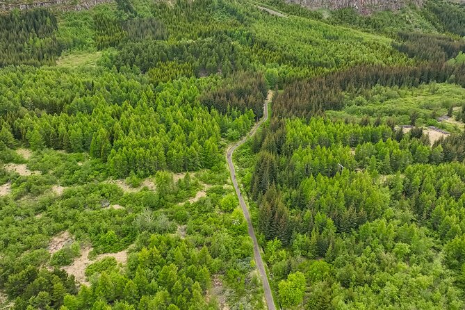 Forest Lagoon Ebike Tour Akureyri - The e-bike experience: hills, muddy road, and how the guide sets you up