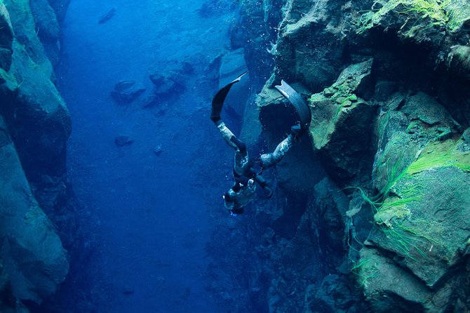 Freedive Silfra Half Day Tour - Key things to know before you go to Silfra