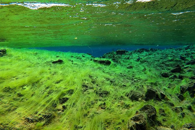 Freedive Silfra Half Day Tour - Entering Silfra from Thingvellir: why this place feels special
