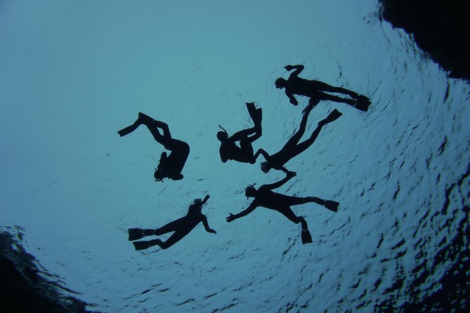 Freedive Silfra Half Day Tour - The Silfra session: what you will likely see and how currents affect the plan