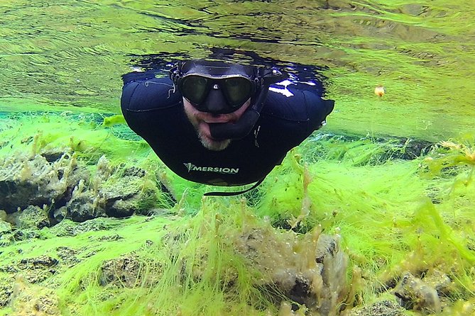 Freedive Silfra Half Day Tour - Price and value at $233.50 per person