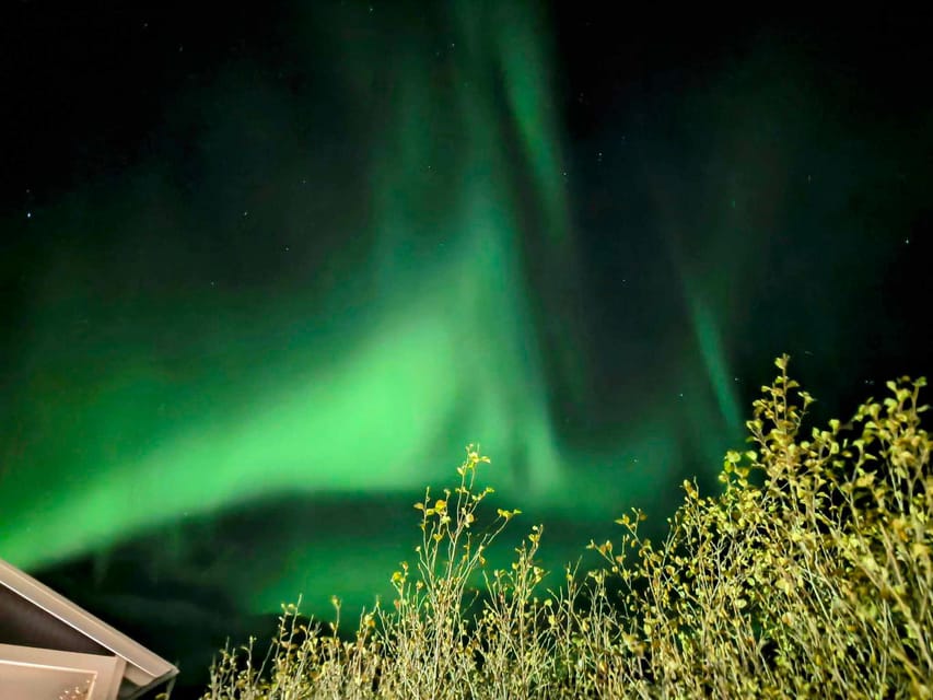 From Akureyri: Northern Lights Tour - Who This Northern Lights Tour Fits Best