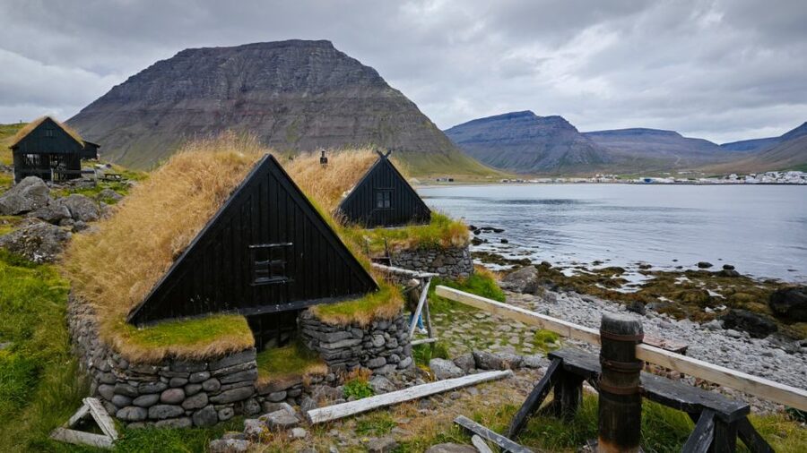 From Reykjavík: 3-Day Tour of the Wild Westfjords - Wildlife moments that actually shape the trip