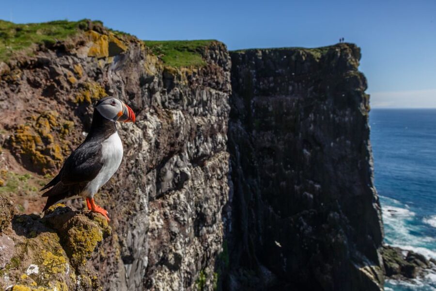 From Reykjavík: 3-Day Tour of the Wild Westfjords - Getting picked up in Reykjavík, minibus comfort and the 08:30 to 09:00 reality