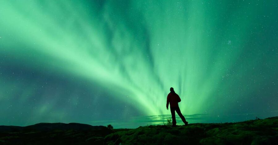 From Reykjavik: Blue Lagoon and Northern Lights Tour - Price and what you truly get for $318 per person