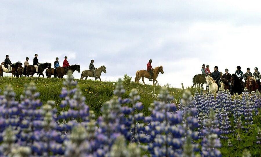 From Reykjavík: Full-day Golden Circle & Horse Riding Tour - Logistics that matter: long day energy, bus comfort, and stop choices
