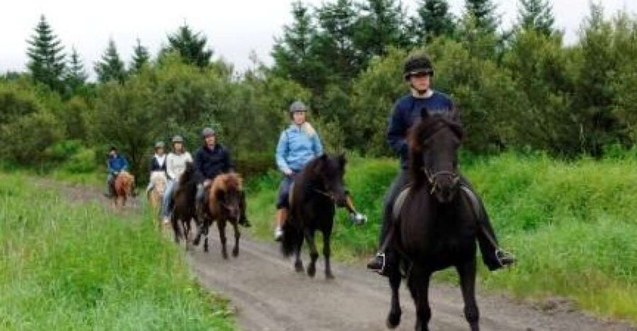 From Reykjavik: Full-Day Horse Riding & Golden Circle Tour - Light lunch after the ride, plus the handoff to the Golden Circle bus