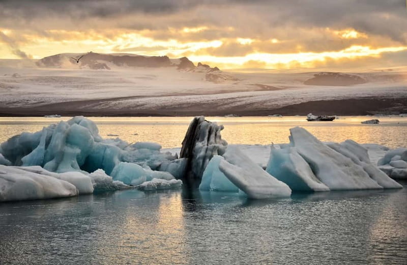 From Reykjavik: Glacier Lagoon and Fjaðrárgjúfur Canyon Tour - Small Minibus, Long Day: Pickup, Group Size, and Pace