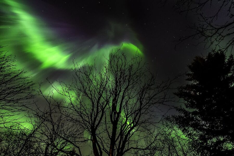 From Reykjavik: Golden Circle and Northern Lights Tour - Who should book this Golden Circle and Northern Lights combo
