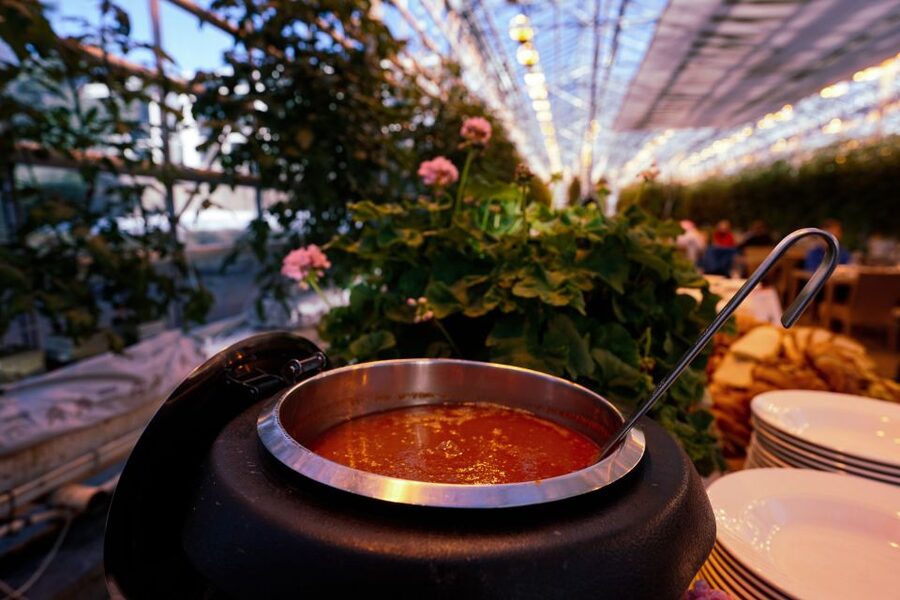 From Reykjavik: Golden Circle, Friðheimar, & Sky Lagoon Tour - Friðheimar Tomato Farm Late Lunch: Greenhouse Warmth and Tomato Choices