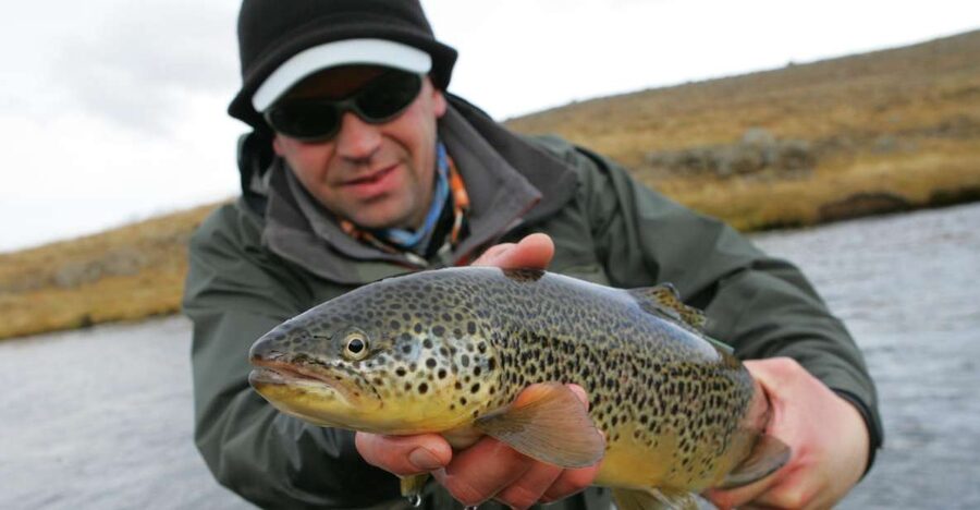 From Reykjavik: Lake and River Fishing Tour - Spin vs fly vs bait, and how the guide actually helps