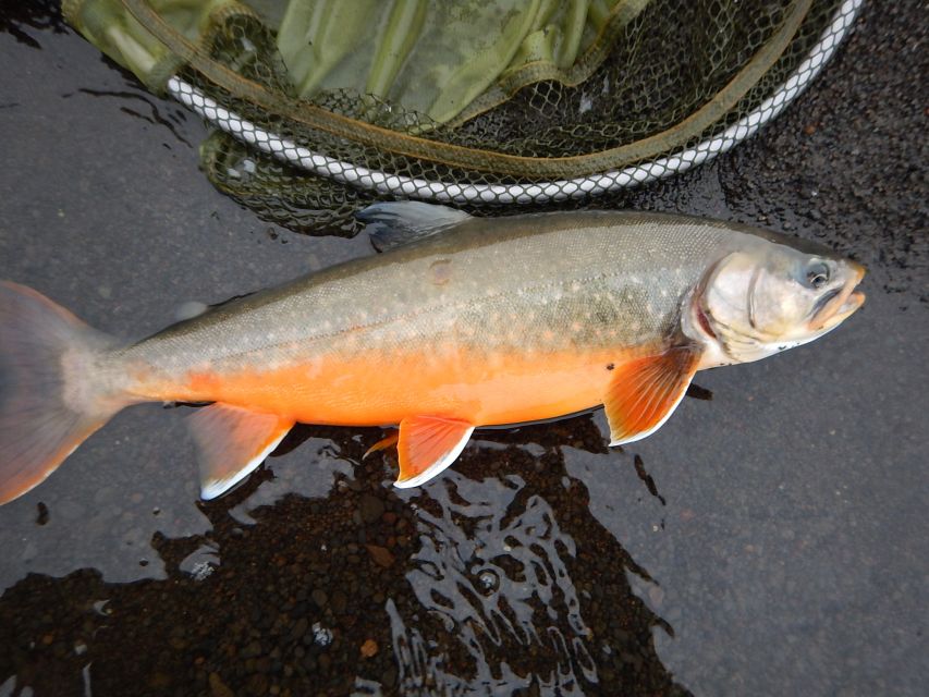 From Reykjavik: Lake and River Fishing Tour - What to pack: warm layers, rain gear, and wind reality